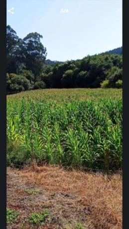 Terreno en Lugar Sestelo, 8