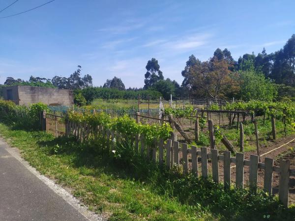 Terreno en Lugar Raño, 105