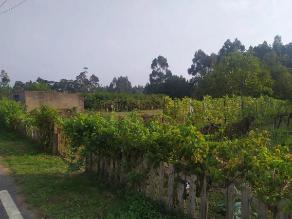 Terreno en Lugar Raño, 105