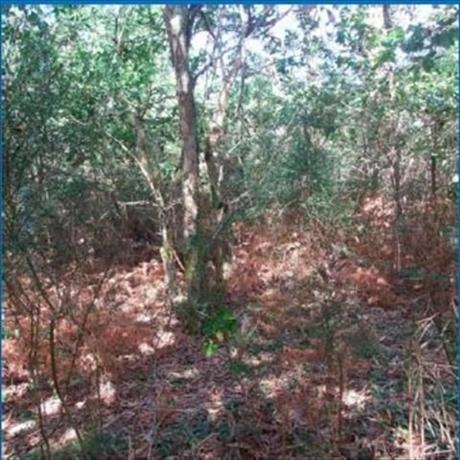 Terreno en Corrubedo - Oleiros - Olveira