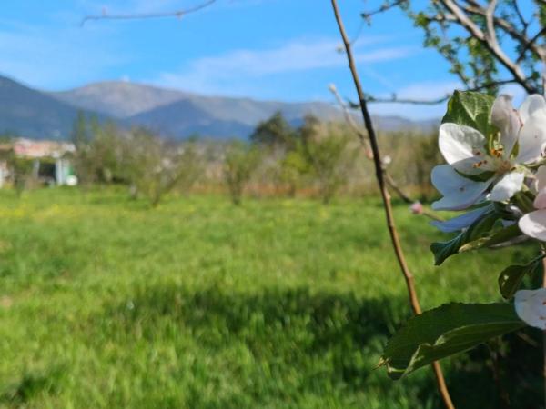 Terreno en Puebla del Caramiñal