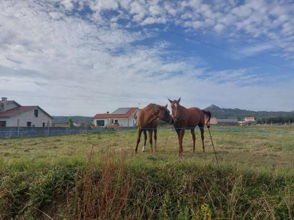 Terreno en Lugar de Sirves, 57
