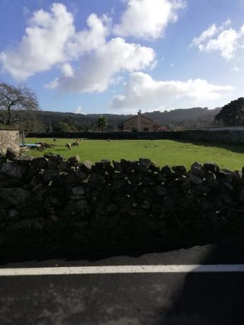 Terreno en calle Cruceiro, 2