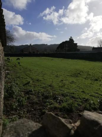 Terreno en calle Cruceiro, 2