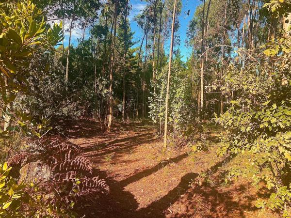 Terreno en Cp-7305, 6