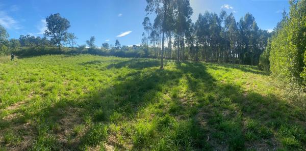 Terreno en Cp-7305, 6