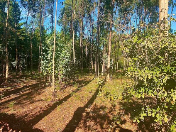 Terreno en Cp-7305, 6