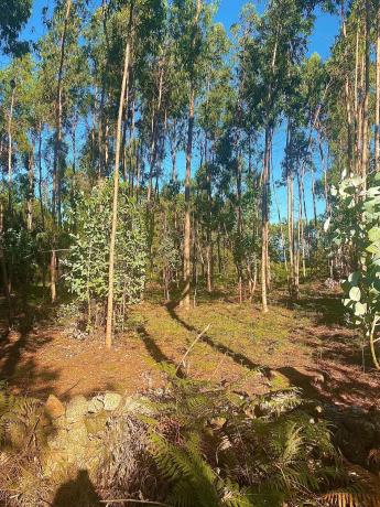 Terreno en Cp-7305, 6