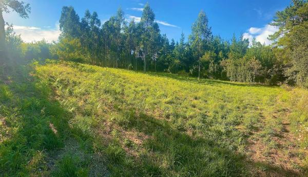 Terreno en Cp-7305, 6