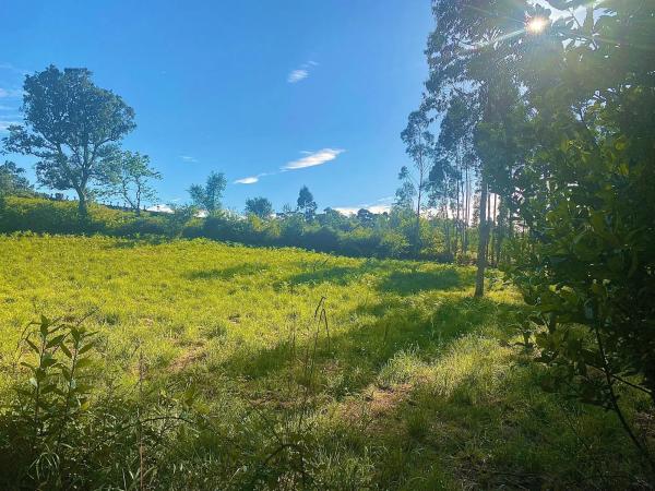 Terreno en Cp-7305, 6