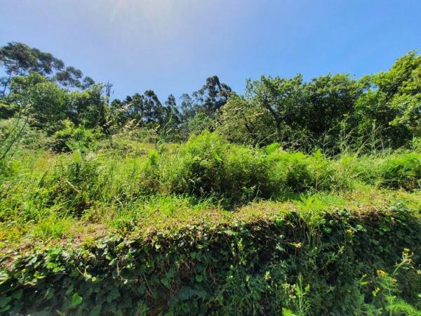 Terreno en aldea fafian