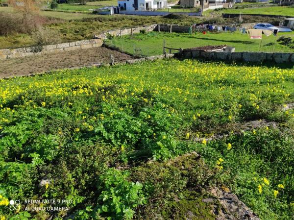 Terreno en Lugar Areeiros, 92