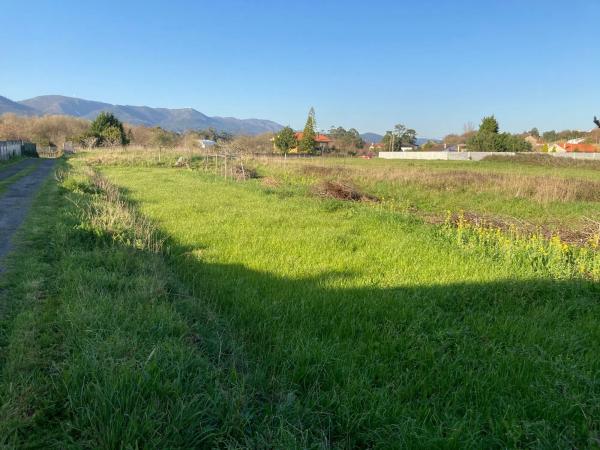 Terreno en calle laxe s/n