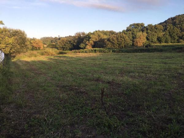 Terreno en Lugar Viñas, 16