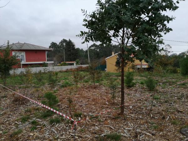 Terreno en o Rego s/n