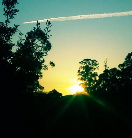 Terreno en o Rego s/n