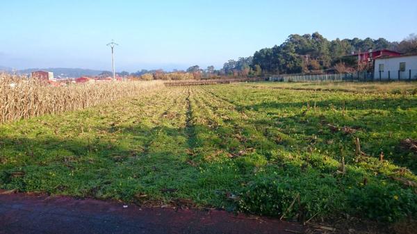 Terreno en calle as Mangas, 49