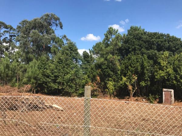 Terreno en calle Barreiro