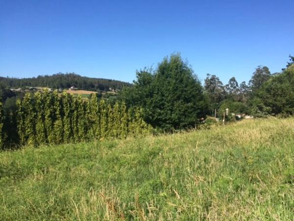 Terreno en Fraga s/n Lugardafraga