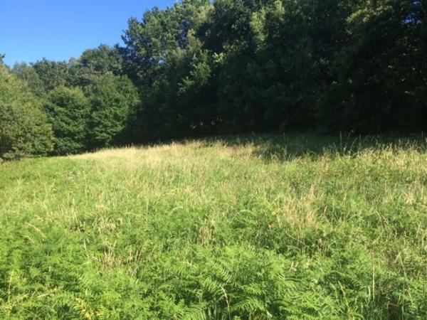 Terreno en Fraga s/n Lugardafraga