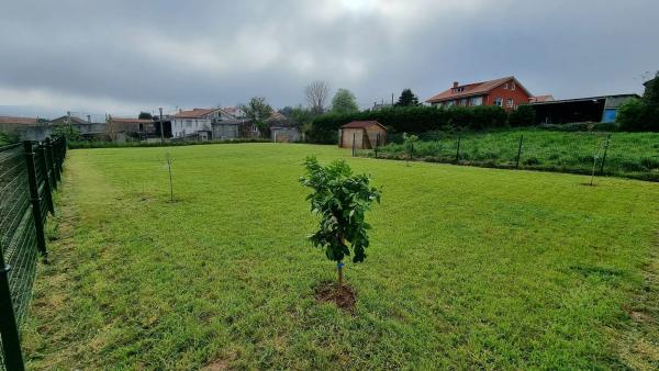 Terreno en Rececinde s/n