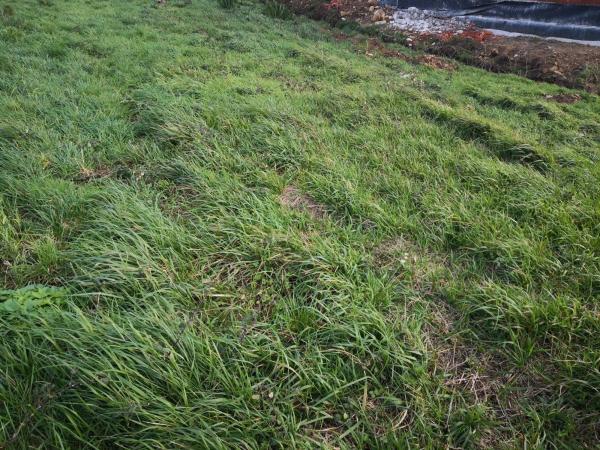 Terreno en Lugar de Seaia