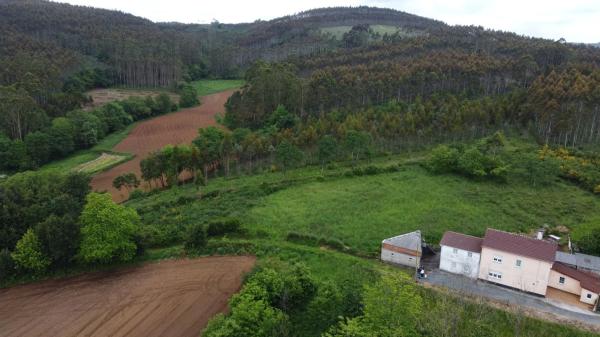 Terreno en Lugar Rodeiro, 59
