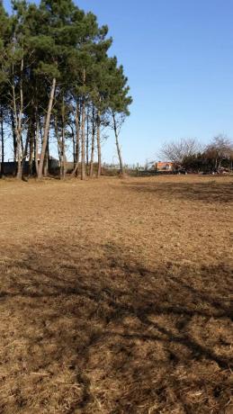 Terreno en Paiosaco s/n CarreteradePaiosacoaCaionATorre