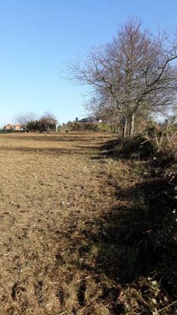 Terreno en Paiosaco s/n CarreteradePaiosacoaCaionATorre