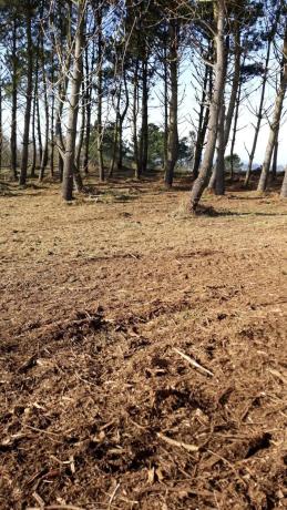 Terreno en Paiosaco s/n CarreteradePaiosacoaCaionATorre