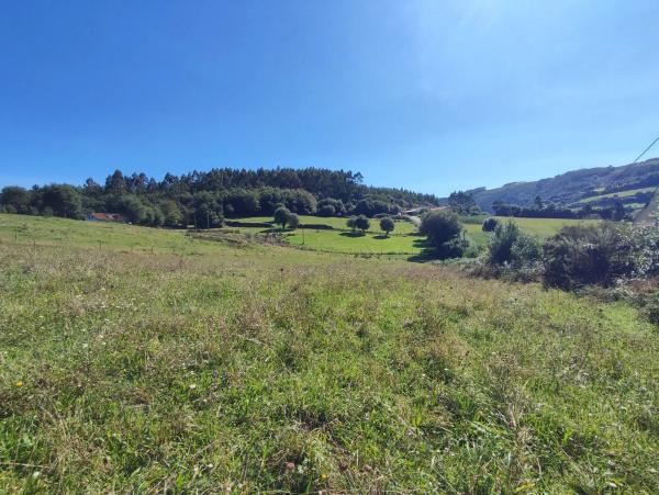 Terreno en Lugar Golmar Medio