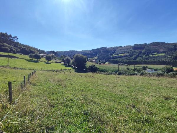 Terreno en Lugar Golmar Medio