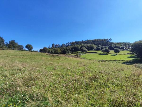 Terreno en Lugar Golmar Medio