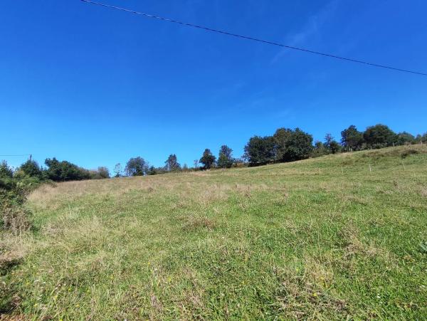 Terreno en Lugar Golmar Medio