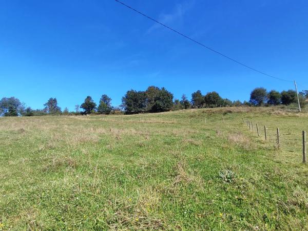 Terreno en Lugar Golmar Medio