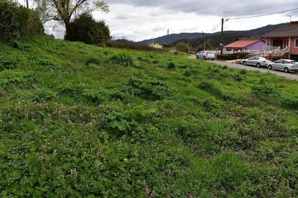 Terreno en calle Feal