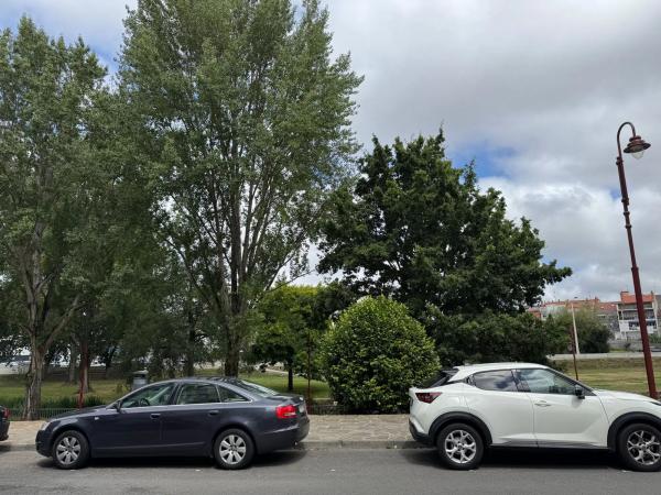 Terreno en calle San Martiño, 33