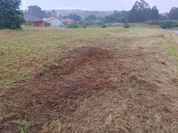 Terreno en Vista Alegre