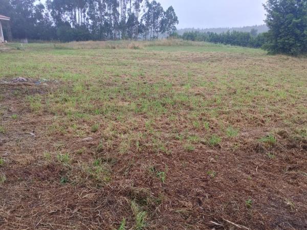 Terreno en Vista Alegre