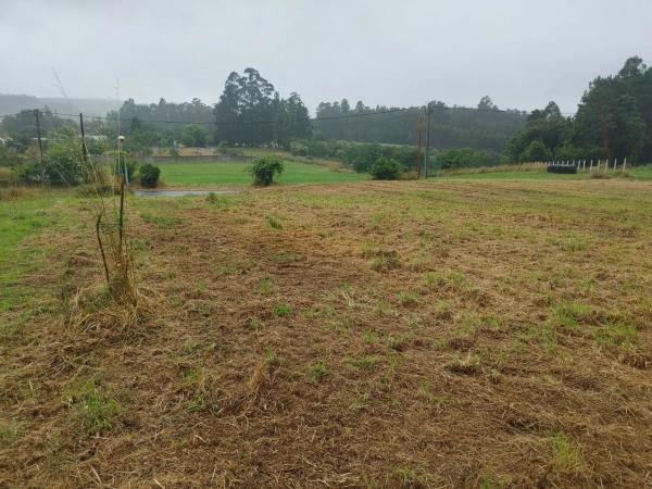 Terreno en Vista Alegre