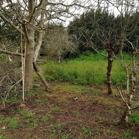 Terreno en ponteceso