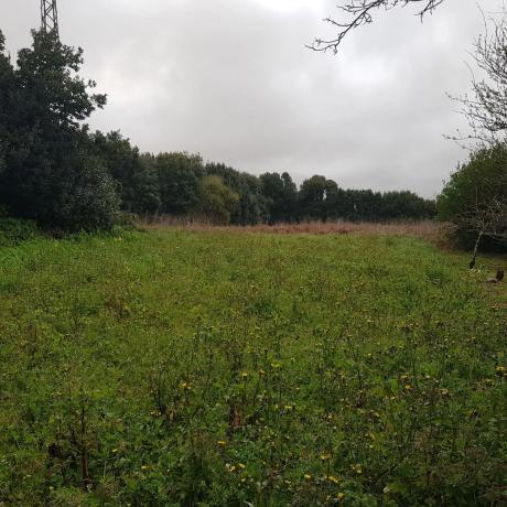 Terreno en ponteceso