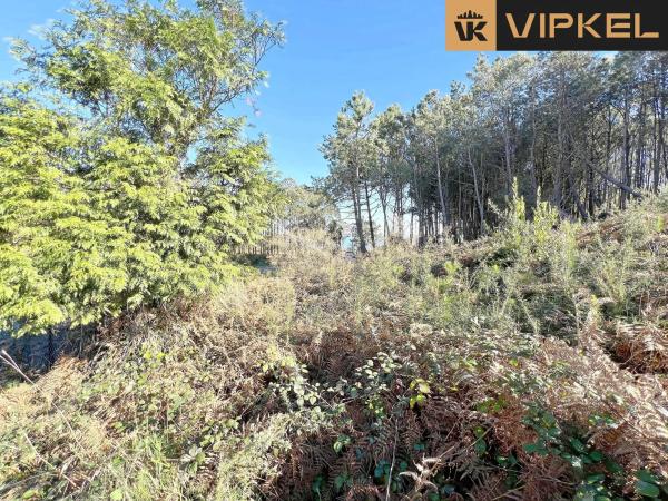 Terreno en Carballedo