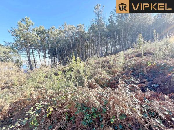 Terreno en Carballedo