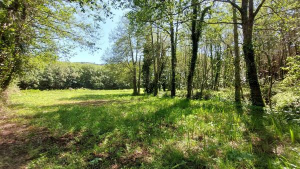 Terreno en Lugar Abaixo, 3