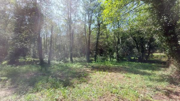 Terreno en Lugar Abaixo, 3