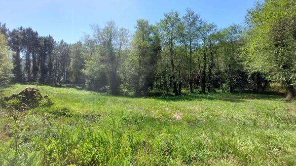 Terreno en Lugar Abaixo, 3