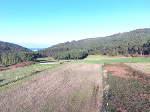 Terreno en Lugar Abaixo, 3