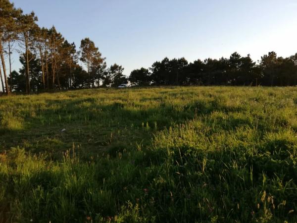 Terreno en baldayo s/n