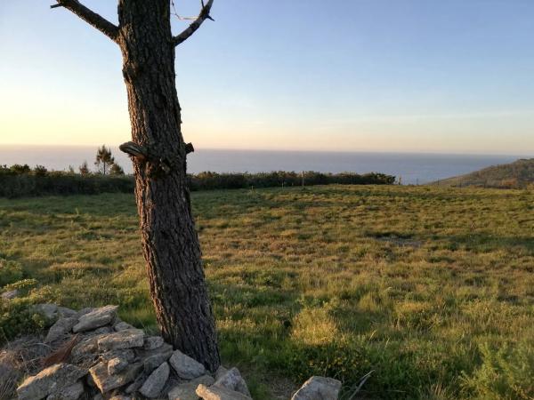 Terreno en baldayo s/n